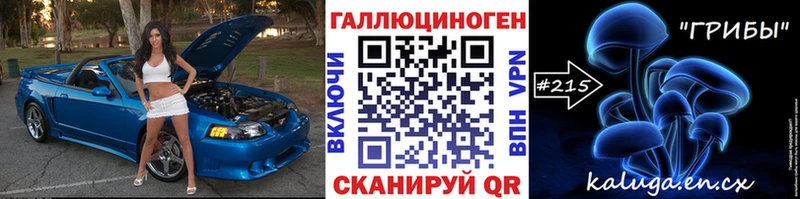 Галлюциногенные грибы Psilocybe где продают наркотики Протвино